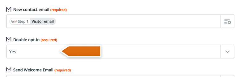 Enable the double opt-in option Enable the double opt-in option