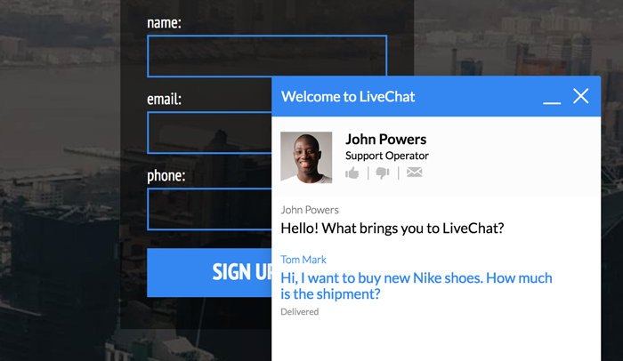 Integrate LiveChat with Landingi LiveChat for Landingi landing page