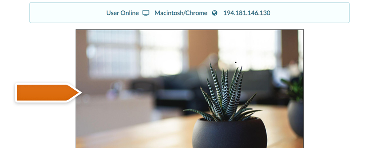 LiveChat Median: how the CoBrowsing session looks like LiveChat Median: how the CoBrowsing session looks like