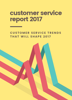 Customer Service Report 2017